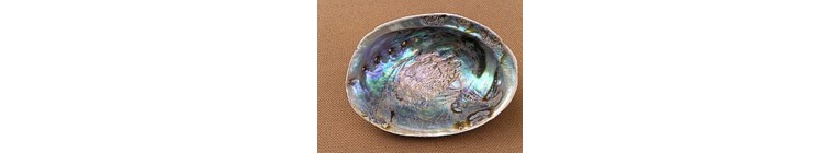 Abalone Jewellery